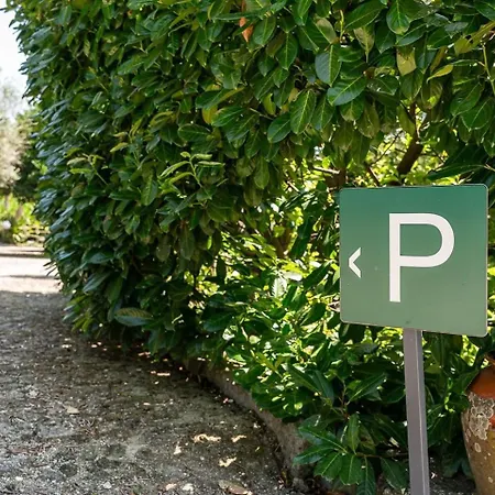 Casa Do Lagar * Кабесейраш-ди-Башту