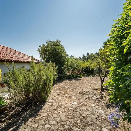 Дом отдыха Casa Do Lagar Кабесейраш-ди-Башту