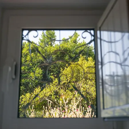 Casa Do Lagar בית נופש קאבקסיירס דה באסטו