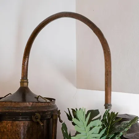 Casa Do Lagar קאבקסיירס דה באסטו