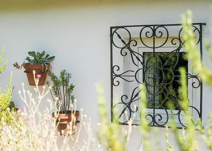 Casa de Férias Casa Do Lagar